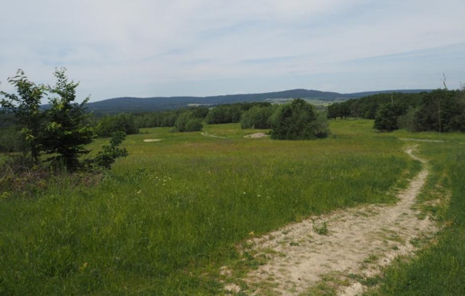 Naturatrail Taunus